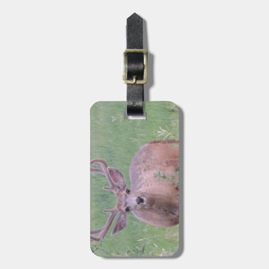 Maultierhirsch-Dollar Gepäckanhänger (Vorderseite vertikal)