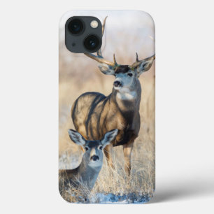 Maultierhirsch-Dollar und Damhirschkuh Case-Mate iPhone Hülle