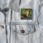Maultierhirsch, Odocoileus hemionus Button (Beispiel)