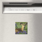 Maultierhirsch, Odocoileus hemionus Magnet (In Situ (Geschirrspüler))