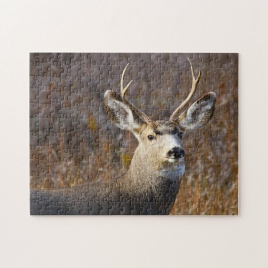 Maultierhirsch. Puzzle (Horizontal)