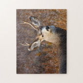 Maultierhirsch. Puzzle (Vertikal)
