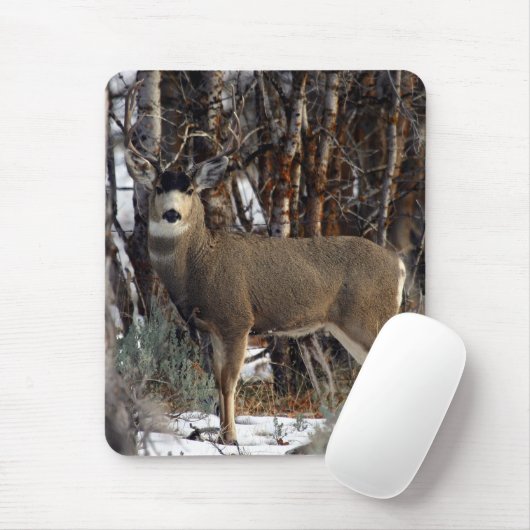Maultierhirsch, wellsville mousepad (Mit Mouse)