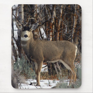 Maultierhirsch, wellsville mousepad