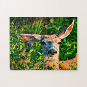 Maultierhirsch Wyoming . Puzzle