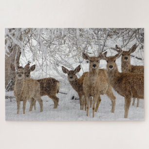 Maultierhirsch Wyoming Puzzle