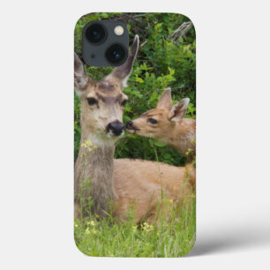 Maultierhirschweibchen mit Kitz Case-Mate iPhone Hülle