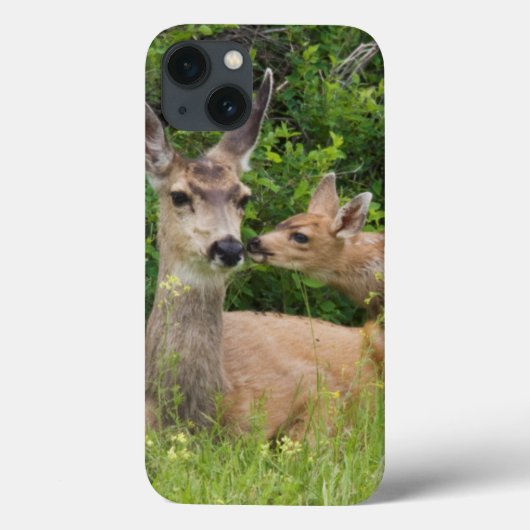 Maultierhirschweibchen mit Kitz Case-Mate iPhone Hülle (Rückseite)