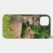 Maultierhirschweibchen mit Kitz Case-Mate iPhone Hülle (Rückseite (Horizontal))