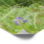 Maultierhirschweibchen mit Kitz Poster (Ecke)