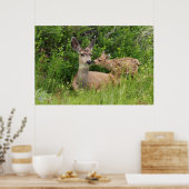 Maultierhirschweibchen mit Kitz Poster (Küche)