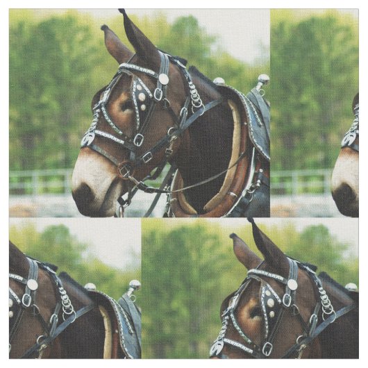 Maultiertag Stoff (Nahaufnahme)