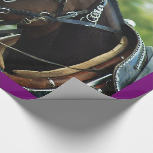 Maultiertage Geschenkpapier (Ecke)