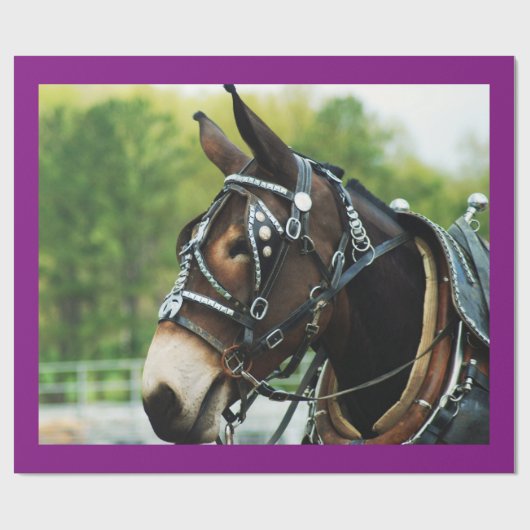 Maultiertage Geschenkpapier (Flach)