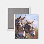 Maultiertage Magnet (Vorderseite/Rückseite)