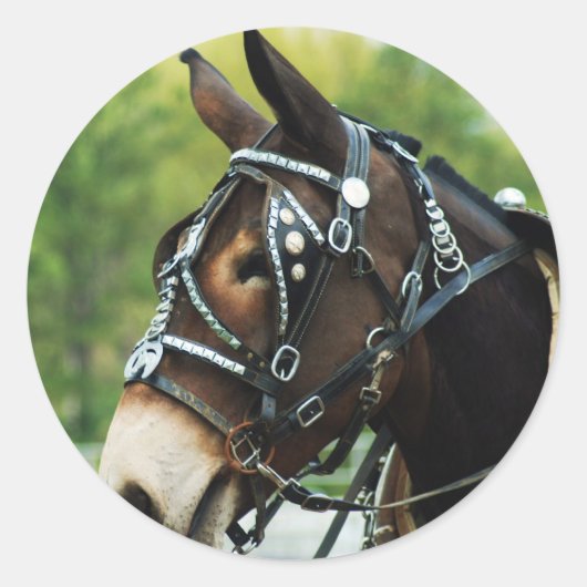 Maultiertage Runder Aufkleber (Vorderseite)