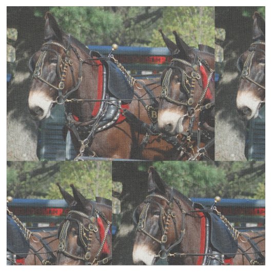 Maultiertage Stoff (Nahaufnahme)