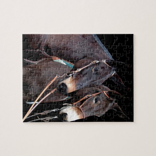 MaultierTwosome Puzzle (Horizontal)