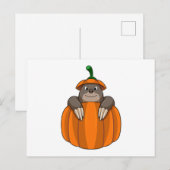 Maulwurf mit Kürbis Postkarte (Vorne/Hinten)