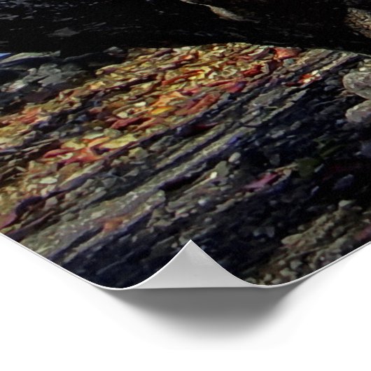 MAUNA KEA OVER HILO BAY POSTER (Ecke)