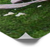 Maurice Garin Gewinner Paris-Roubaix 1898 Color Re Poster (Ecke)