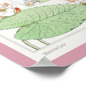 Maurice Pillard Verneuil Botanische Illustrationen Poster (Ecke)