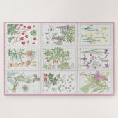 Maurice Pillard Verneuil Botanische Illustrationen Puzzle (Horizontal)