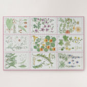 Maurice Pillard Verneuil Botanische Illustrationen Puzzle (Horizontal)