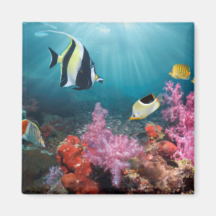 Maurisches Idol der Korallenriff-Landschafts-  Magnet