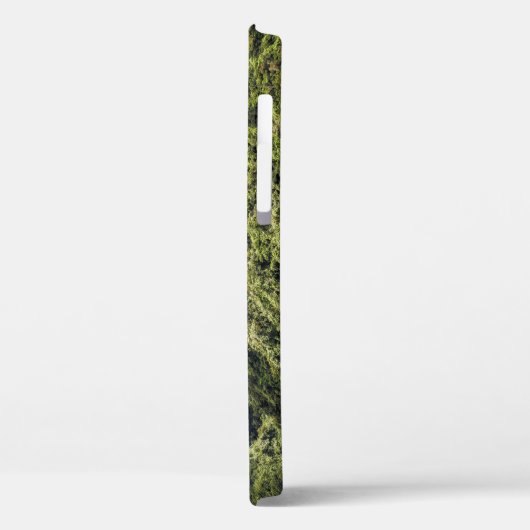 Mauritius Black River Gorges Case-Mate iPhone Hülle (Rückseite / Links)