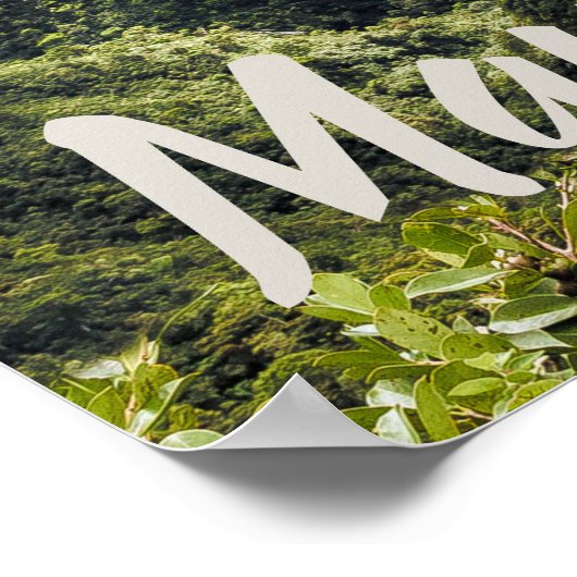 Mauritius Black River Gorges Poster (Ecke)