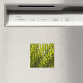 Mauritius, Central Mauritius, Moka, Palm 2 Magnet (In Situ (Geschirrspüler))