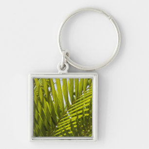 Mauritius, Central Mauritius, Moka, Palme 2 Schlüsselanhänger