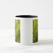 Mauritius, Central Mauritius, Moka, Palme 2 Tasse (Zentrum)