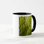 Mauritius, Central Mauritius, Moka, Palme 2 Tasse (VorderseiteRechts)