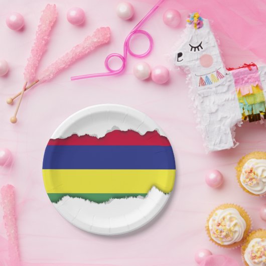 Mauritius-Flagge Pappteller (Party)