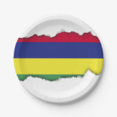 Mauritius-Flagge Pappteller (Vorderseite)