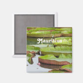 Mauritius Lily Pads Magnet (Vorderseite/Rückseite)