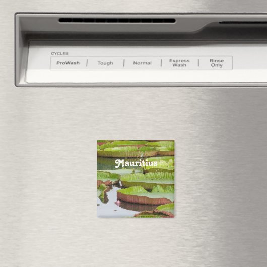 Mauritius Lily Pads Magnet (In Situ (Geschirrspüler))