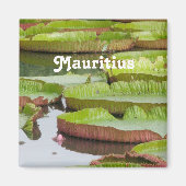 Mauritius Lily Pads Magnet (Vorne)