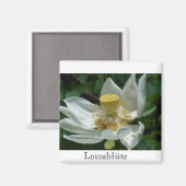 Mauritius, Lotosblüte Magnet (Vorderseite/Rückseite)