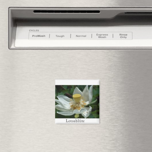 Mauritius, Lotosblüte Magnet (In Situ (Geschirrspüler))