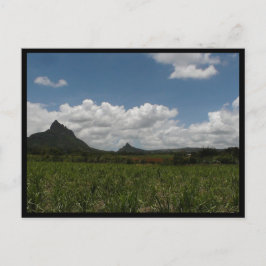 Mauritius / Maurice Postkarte