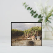 Mauritius / Maurice Postkarte (Stehend Vorderseite)