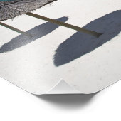 Mauritius, Mauritius, Belle Mare, Fotodruck (Ecke)