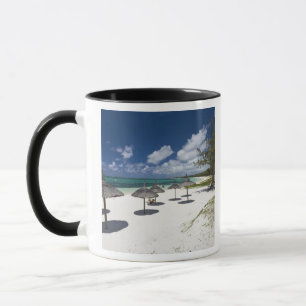 Mauritius, Mauritius, Belle Mare, Tasse
