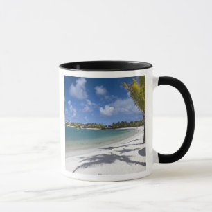 Mauritius, Mauritius, Trou d'Eau Douce, Tasse