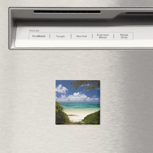 Mauritius, Ost-Mauritius, Belle Mare, Ost Magnet (In Situ (Geschirrspüler))