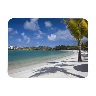 Mauritius, Östliches Mauritius, Trou d' Eau Douce, Magnet