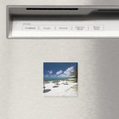 Mauritius, Ostmauritius, Belle Mare, Magnet (In Situ (Geschirrspüler))